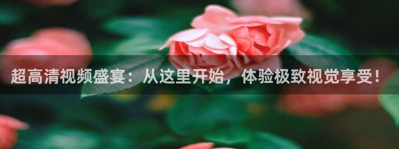 超高清视频盛宴：从这里开始，体验极致视觉享受！