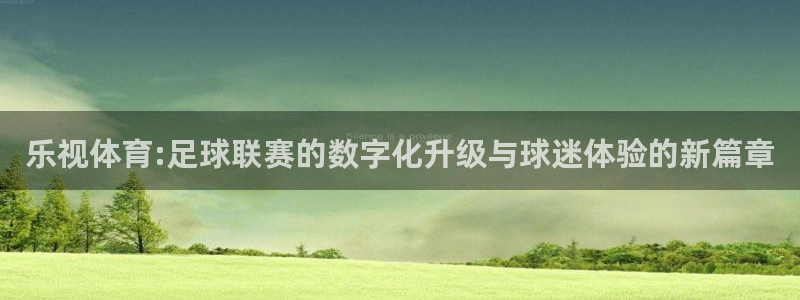乐视体育:足球联赛的数字化升级与球迷体验的新篇章
