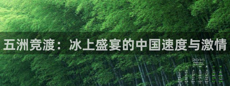五洲竞渡：冰上盛宴的中国速度与激情