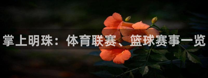 掌上明珠：体育联赛、篮球赛事一览
