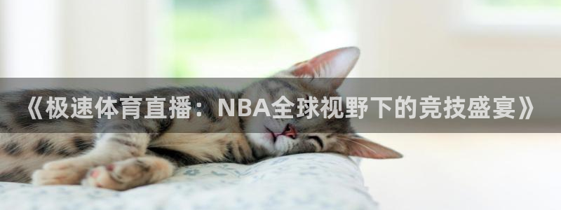 《极速体育直播：NBA全球视野下的竞技盛宴》