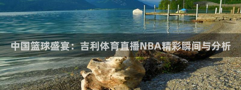 中国篮球盛宴：吉利体育直播NBA精彩瞬间与分析