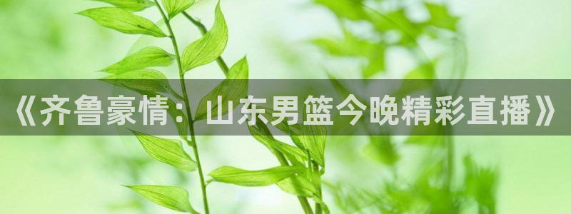 《齐鲁豪情：山东男篮今晚精彩直播》