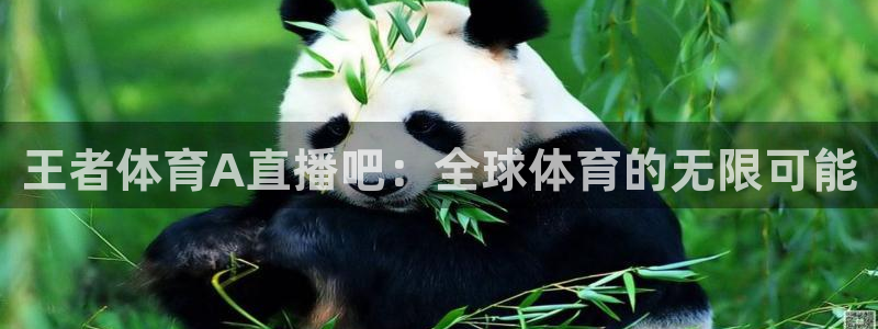 王者体育A直播吧：全球体育的无限可能