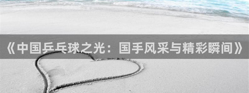 《中国乒乓球之光：国手风采与精彩瞬间》