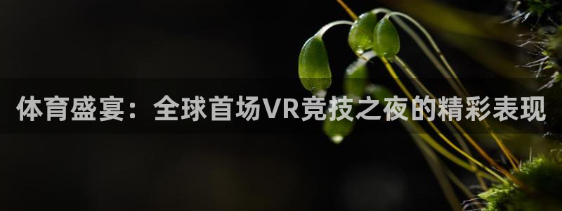 体育盛宴：全球首场VR竞技之夜的精彩表现