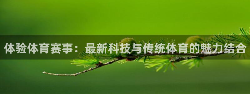 体验体育赛事：最新科技与传统体育的魅力结合