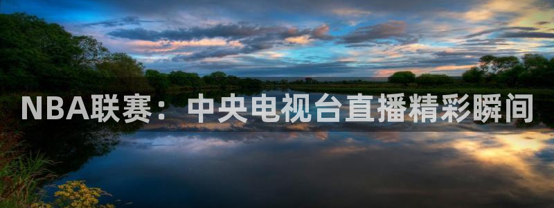 NBA联赛：中央电视台直播精彩瞬间