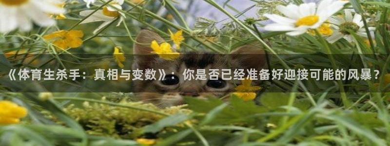 《体育生杀手：真相与变数》：你是否已经准备好迎接可能的风暴？
