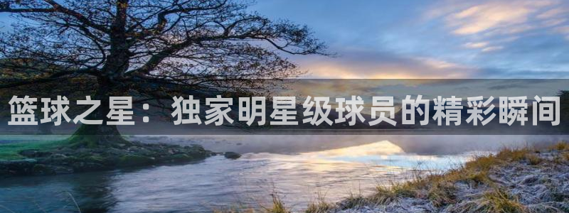 篮球之星：独家明星级球员的精彩瞬间