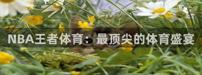 NBA王者体育：最顶尖的体育盛宴