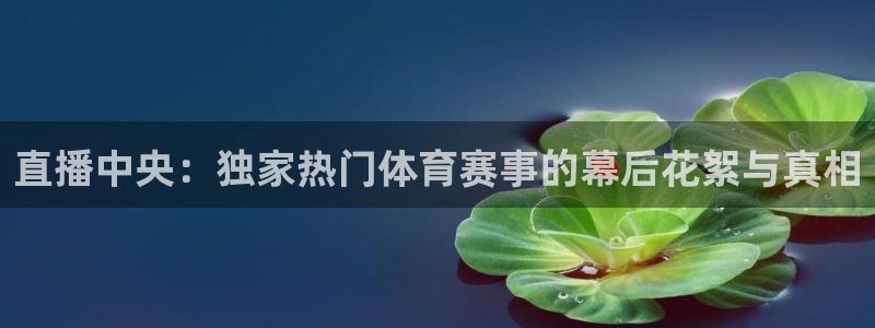 直播中央：独家热门体育赛事的幕后花絮与真相